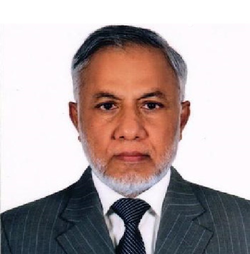 Director & Committee Member